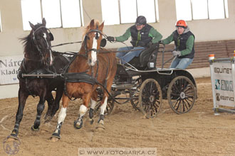 11.2.2017 - spřežení Slatiňany