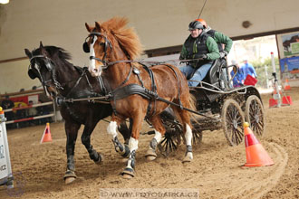 11.2.2017 - spřežení Slatiňany