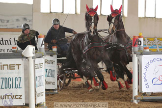 11.2.2017 - spřežení Slatiňany