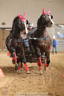 11.2.2017 - spřežení Slatiňany