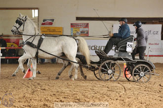 11.2.2017 - spřežení Slatiňany