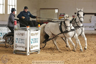 11.2.2017 - spřežení Slatiňany