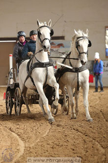 11.2.2017 - spřežení Slatiňany