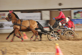 11.2.2017 - spřežení Slatiňany