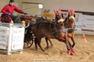 11.2.2017 - spřežení Slatiňany