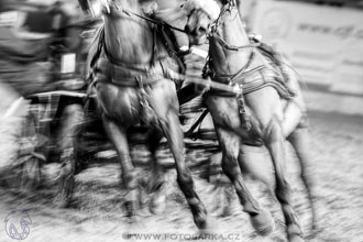 11.2.2017 - spřežení Slatiňany