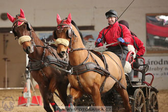 11.2.2017 - spřežení Slatiňany