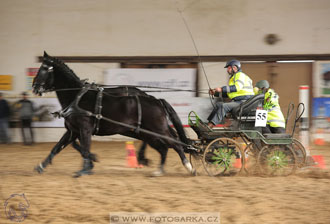 11.2.2017 - spřežení Slatiňany