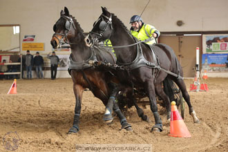 11.2.2017 - spřežení Slatiňany