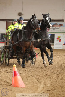 11.2.2017 - spřežení Slatiňany