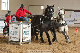 11.2.2017 - spřežení Slatiňany