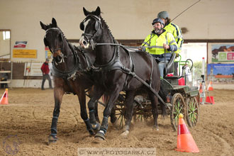 11.2.2017 - spřežení Slatiňany