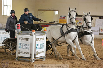 11.2.2017 - spřežení Slatiňany