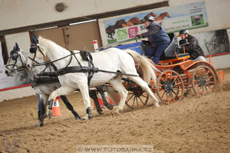 11.2.2017 - spřežení Slatiňany