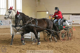 11.2.2017 - spřežení Slatiňany