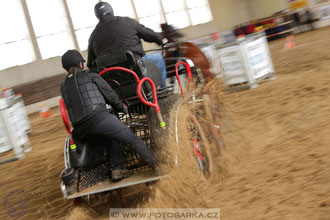 11.2.2017 - spřežení Slatiňany