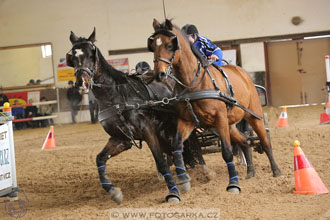 11.2.2017 - spřežení Slatiňany