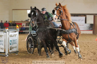 11.2.2017 - spřežení Slatiňany