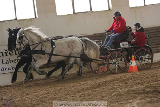 11.2.2017 - spřežení Slatiňany