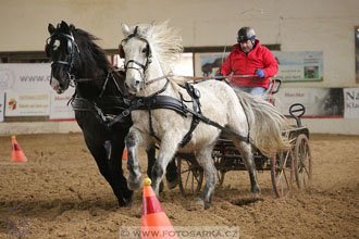 11.2.2017 - spřežení Slatiňany