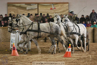 11.2.2017 - spřežení Slatiňany
