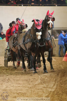 11.2.2017 - spřežení Slatiňany