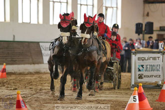 11.2.2017 - spřežení Slatiňany
