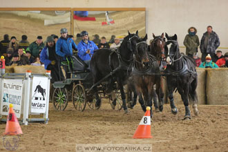 11.2.2017 - spřežení Slatiňany