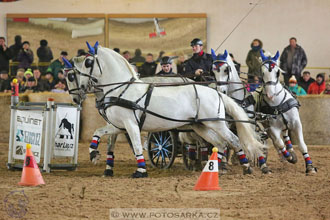 11.2.2017 - spřežení Slatiňany