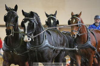 11.2.2017 - spřežení Slatiňany