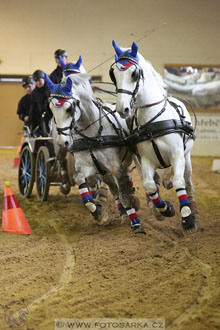 11.2.2017 - spřežení Slatiňany
