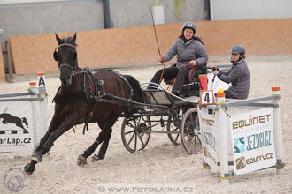12.3.2017 - spřežení Zduchovice