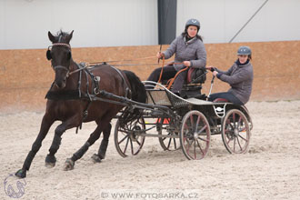 12.3.2017 - spřežení Zduchovice