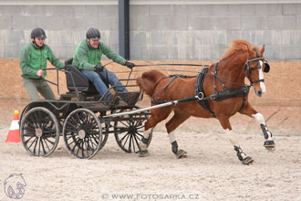 12.3.2017 - spřežení Zduchovice