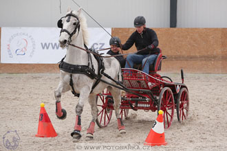 12.3.2017 - spřežení Zduchovice