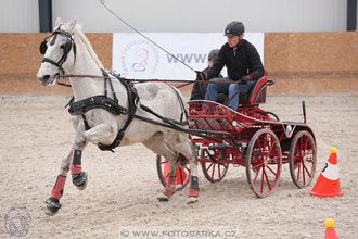 12.3.2017 - spřežení Zduchovice