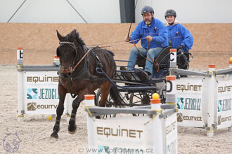 12.3.2017 - spřežení Zduchovice