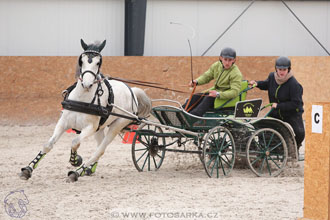 12.3.2017 - spřežení Zduchovice