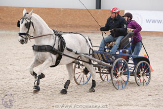 12.3.2017 - spřežení Zduchovice