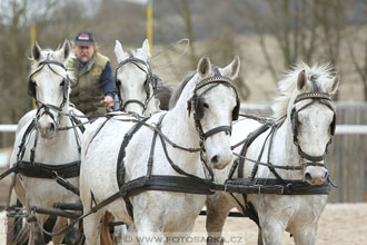 12.3.2017 - spřežení Zduchovice