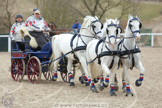 12.3.2017 - spřežení Zduchovice