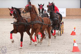 12.3.2017 - spřežení Zduchovice