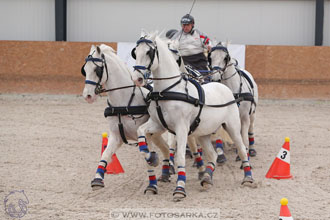 12.3.2017 - spřežení Zduchovice