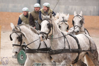 12.3.2017 - spřežení Zduchovice