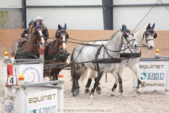 12.3.2017 - spřežení Zduchovice