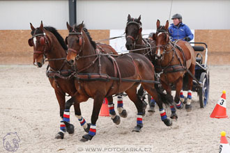 12.3.2017 - spřežení Zduchovice