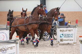 12.3.2017 - spřežení Zduchovice