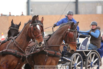 12.3.2017 - spřežení Zduchovice