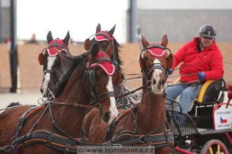 12.3.2017 - spřežení Zduchovice
