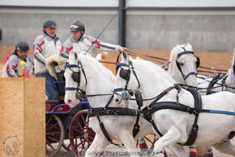 12.3.2017 - spřežení Zduchovice